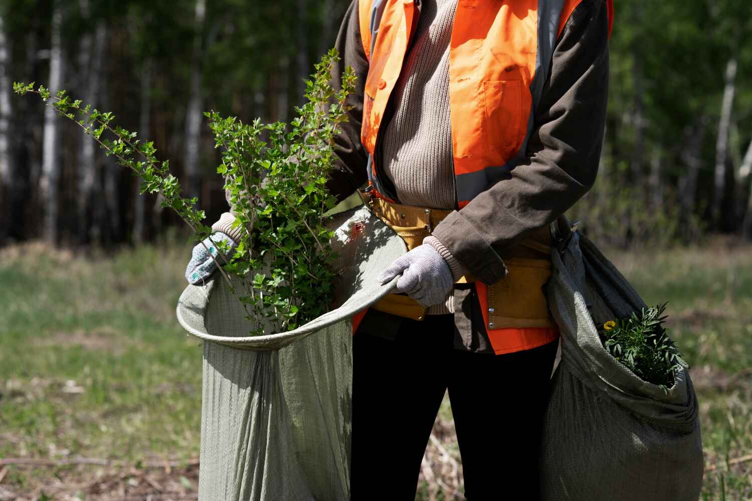 Best Tree Cutting Near Me  in Upper Grand Lagoon, FL